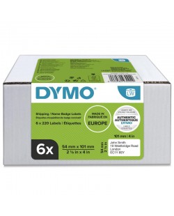 DYMO LW grandes étiquettes autocollantes authentiques pour expéditions et badges nominatifs | 54 mm x 101 mm | 6 rouleaux de 2