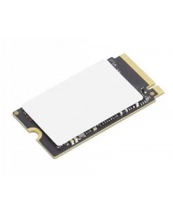 Lenovo 4XB1N36071 disque SSD 256 Go M.2 PCI Express 4.0