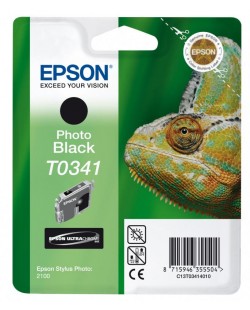 Epson Chameleon Cartouche "Caméléon" - Encre UltraChrome N