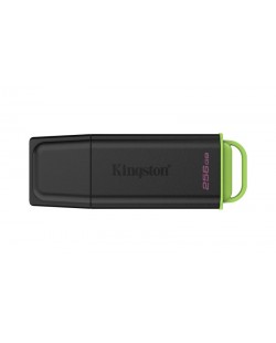 Kingston Technology DataTraveler 256Go Stockage portable USB 3.2 Gen 1 Exodia Noir + Vert