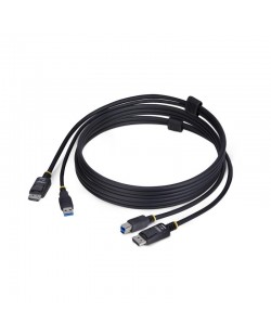 StarTech.com Câble KVM DisplayPort de 1,8m et USB 5Gbps, 4K 60Hz, Câble Combo DP 1.2 et USB pour Commutateurs/Switchs KVM