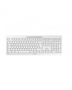 CHERRY Stream Desktop Recharge clavier Souris incluse Universel RF sans fil QWERTZ Suisse Gris