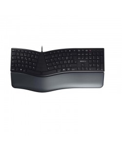 CHERRY KC 4500 ERGO clavier Bureau USB QWERTZ Suisse Noir
