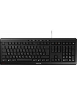 CHERRY STREAM KEYBOARD clavier Bureau USB QWERTZ Tchèque, Slovaque Noir