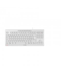 CHERRY STREAM KEYBOARD TKL clavier Universel USB QWERTZ Suisse Blanc
