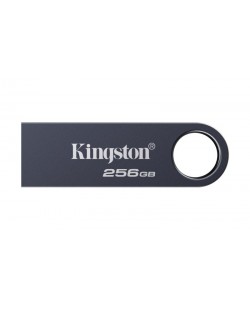Kingston Technology DataTraveler 256 Go SE9 G3 - Nickel foncé
