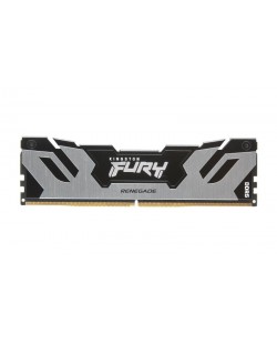 Kingston Technology FURY 24 Go 8000 MT/s DDR5 CL38 DIMM Renegade Silver