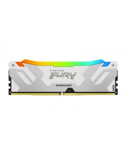 Kingston Technology FURY 24GB 8000MT/s DDR5 CL38 DIMM Renegade RGB White