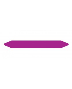 Brother LTZ1L037FPIP étiquette auto-collante Violet 160 pièce(s)