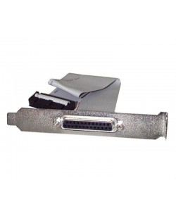StarTech.com Nappe port parallèle DB25 femelle vers connecteur carte mère IDC 25 broches de 40 cm