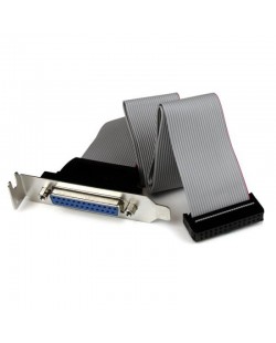 StarTech.com Câble adaptateur de carte mère à faible encombrement avec port parallèle, 40 cm, avec support – DB25 (F) vers
