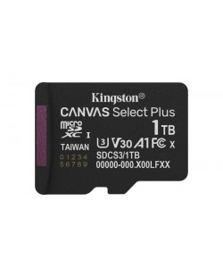 Kingston Technology 1TB micSDXC Canvas Select Plus Gen3 150R A1 (Adaptateur SD non inclus)